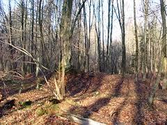 Rezerwat przyrody Szczekotowo